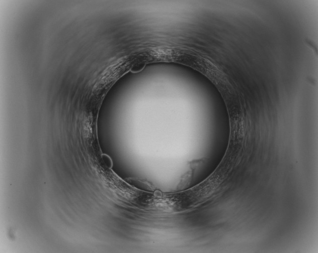 X0000100780702200806261629