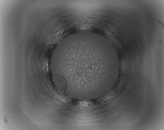 X0000100780703200806261629