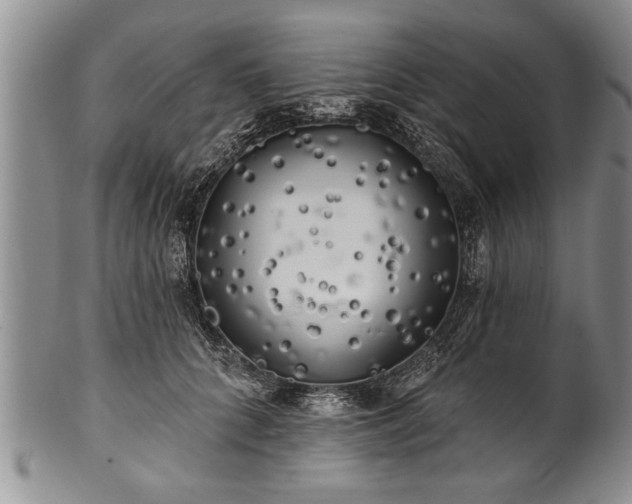 X0000100780704200806261629