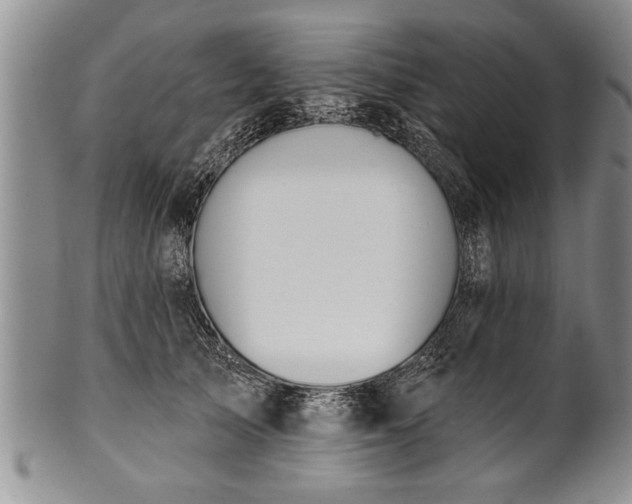 X0000100780705200806261629