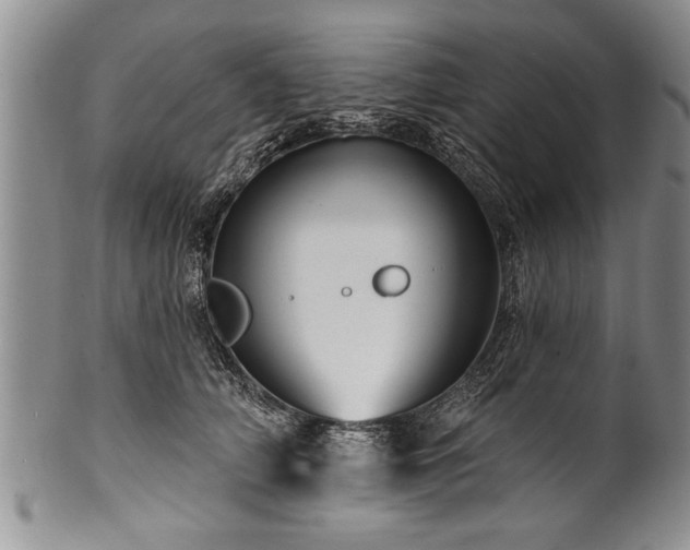 X0000100780706200806261629