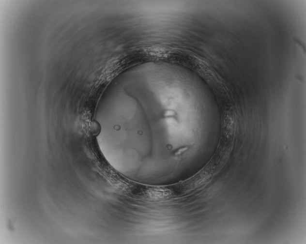 X0000100780707200806261629