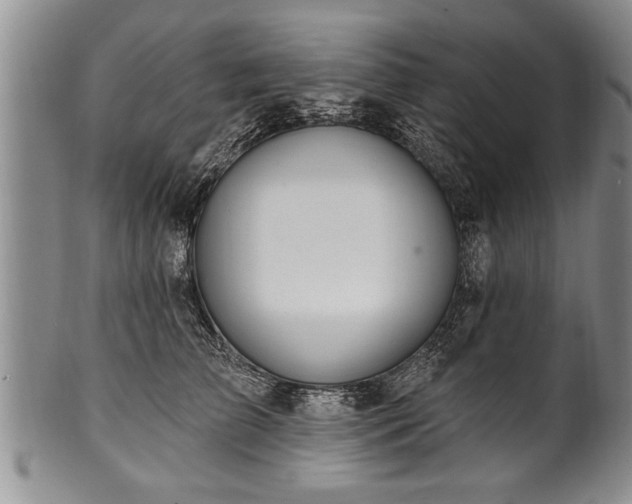 X0000100780709200806261629