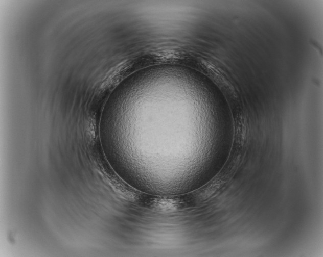 X0000100780710200806261629