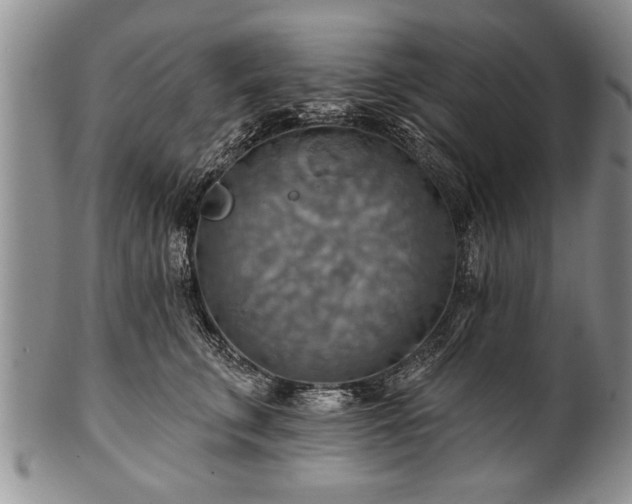 X0000100780711200806261629