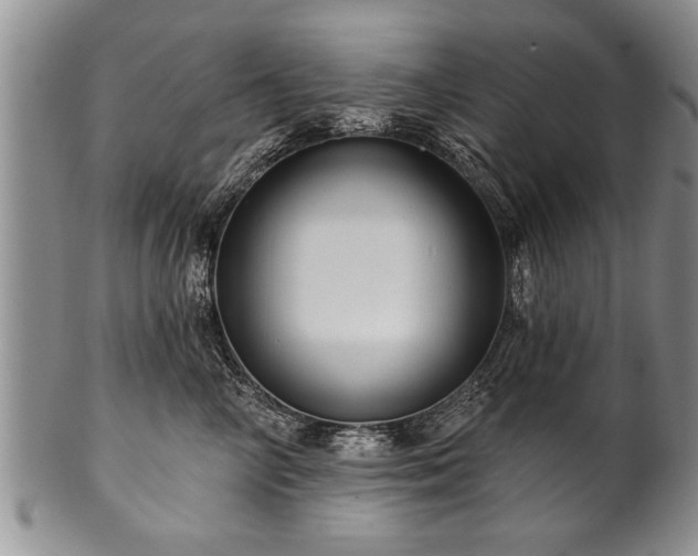 X0000100780714200806261629