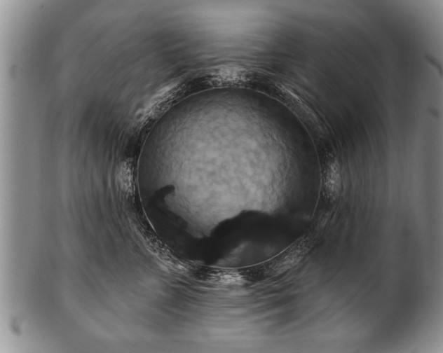 X0000100780715200806261629