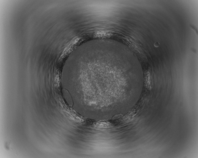 X0000100780716200806261629