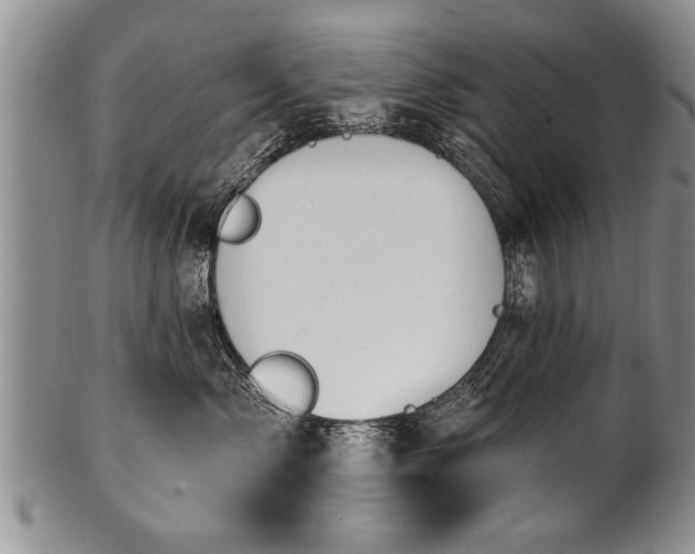 X0000100780717200806261629