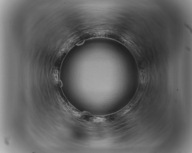 X0000100780718200806261629