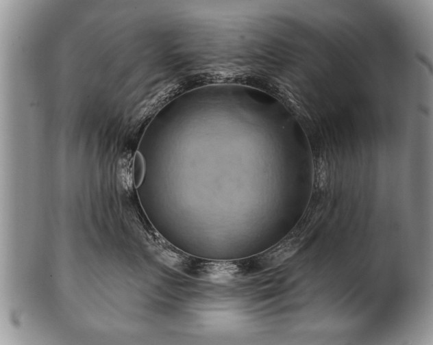 X0000100780719200806261629