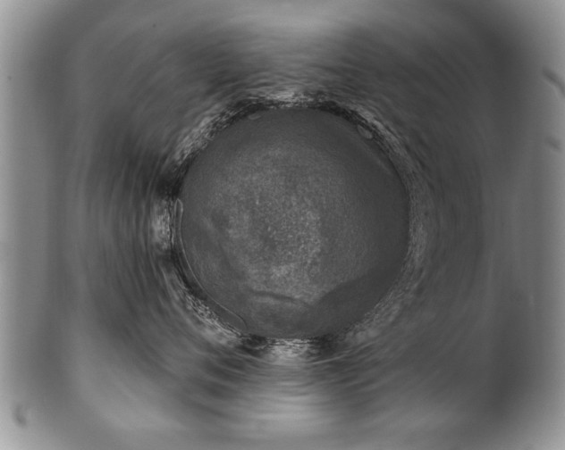 X0000100780720200806261629