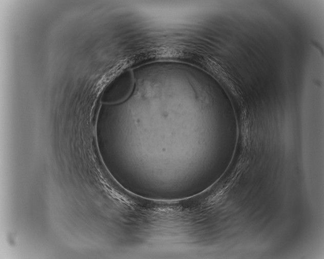 X0000100780721200806261628