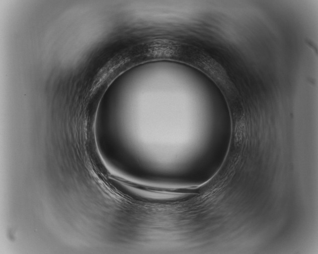 X0000100780722200806261628