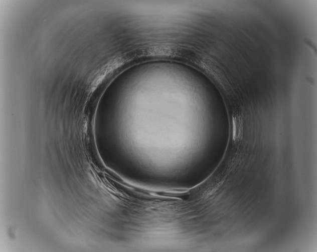 X0000100780723200806261628