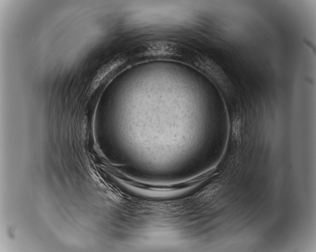 X0000100780724200806261628