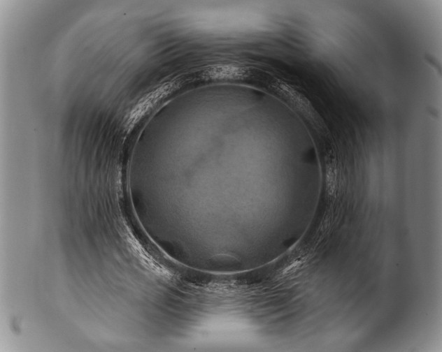 X0000100780725200806261628