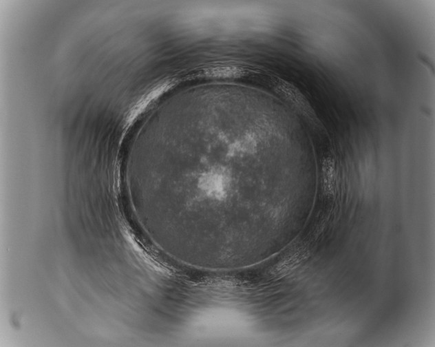 X0000100780726200806261628