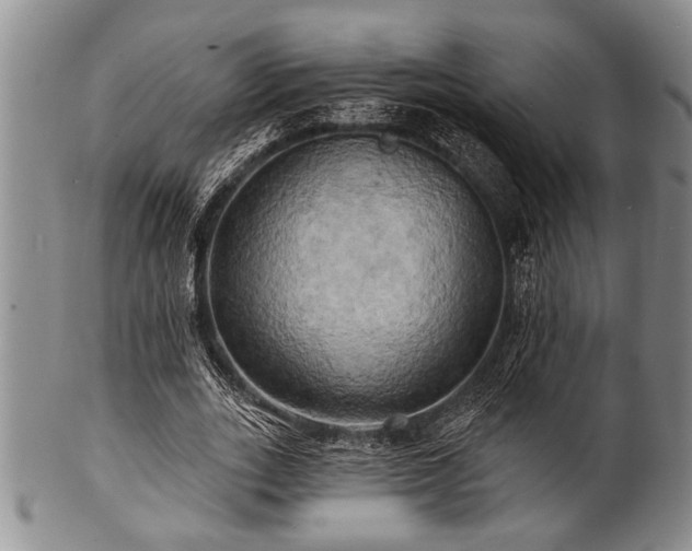 X0000100780727200806261628