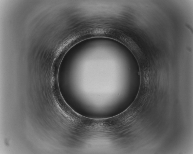 X0000100780728200806261628