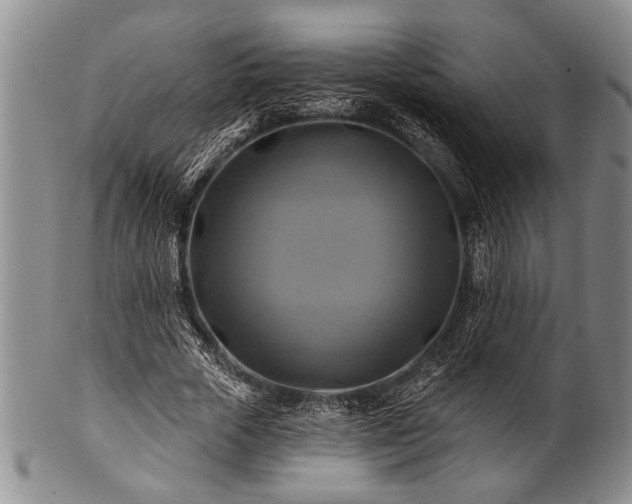 X0000100780729200806261628