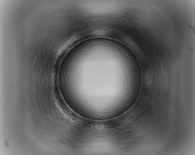 X0000100780730200806261628