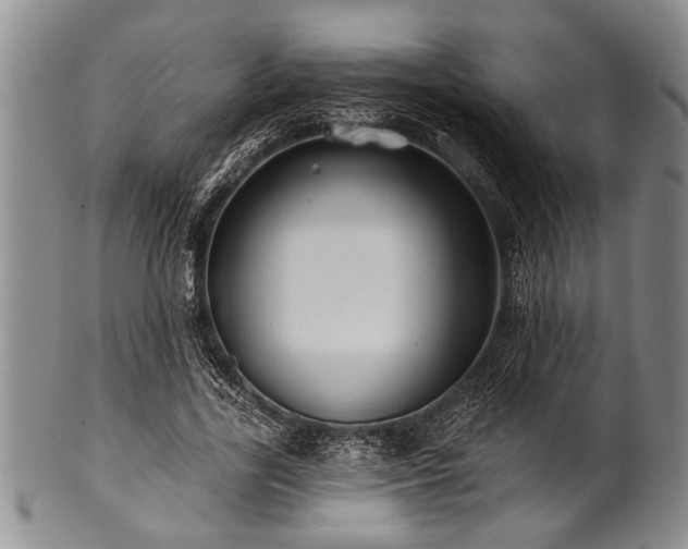 X0000100780731200806261628