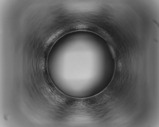 X0000100780732200806261628