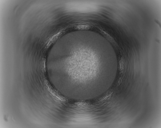 X0000100780733200806261628