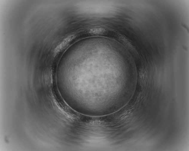 X0000100780734200806261628