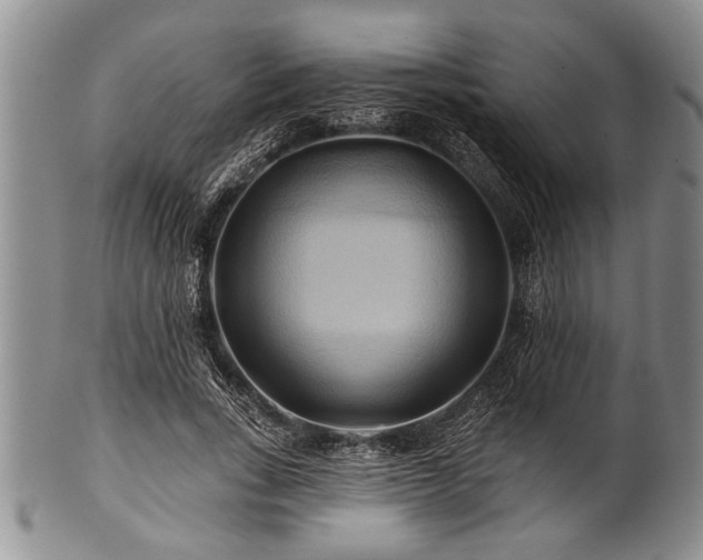 X0000100780735200806261628