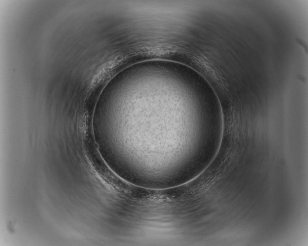 X0000100780736200806261628