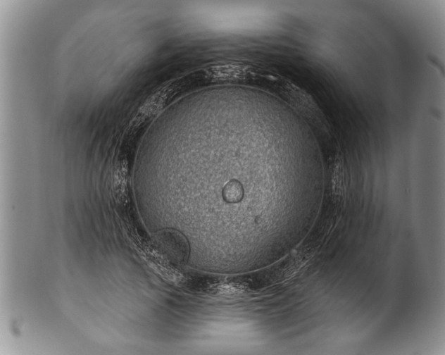 X0000100780737200806261628