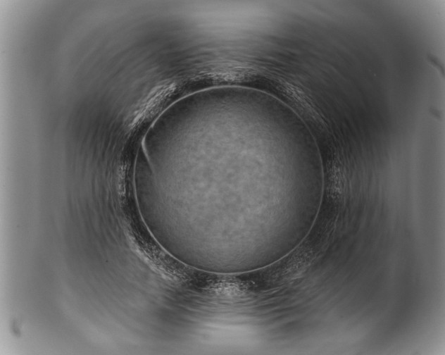 X0000100780738200806261628