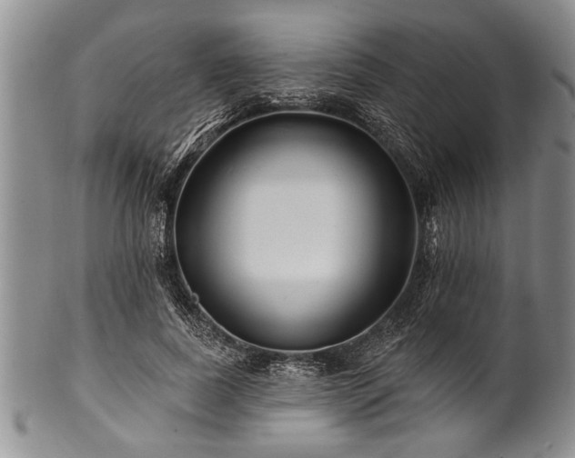 X0000100780739200806261628