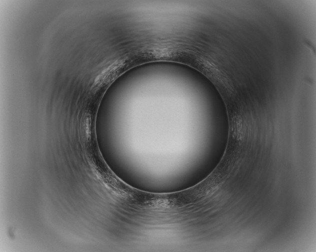 X0000100780740200806261629