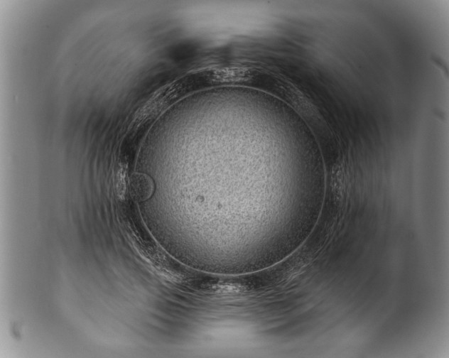 X0000100780741200806261629