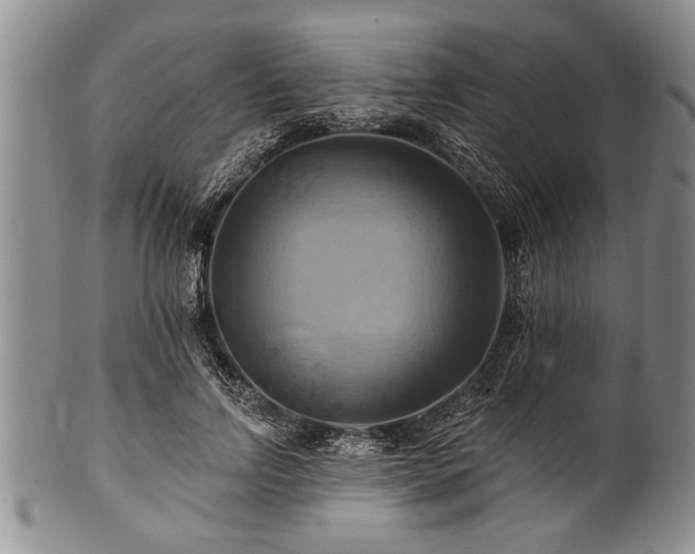 X0000100780742200806261629