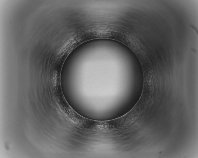 X0000100780744200806261629