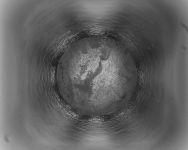 X0000100780745200806261629