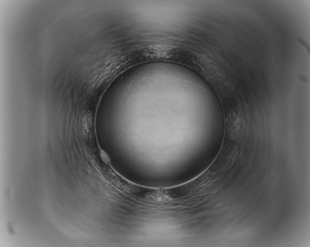 X0000100780747200806261629