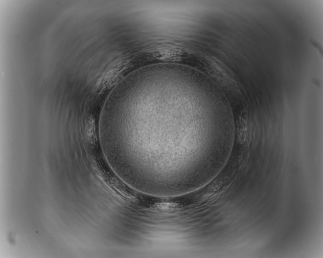 X0000100780748200806261629