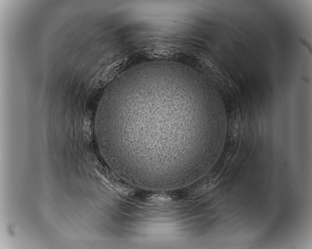 X0000100780749200806261629