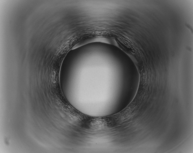 X0000100780750200806261629