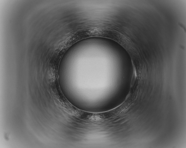 X0000100780751200806261629