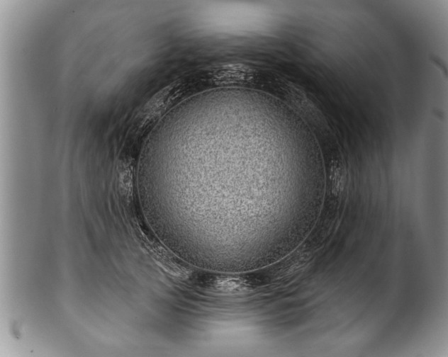 X0000100780753200806261629