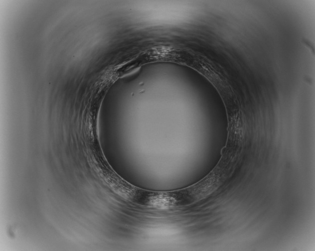 X0000100780754200806261629