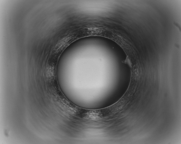 X0000100780756200806261629