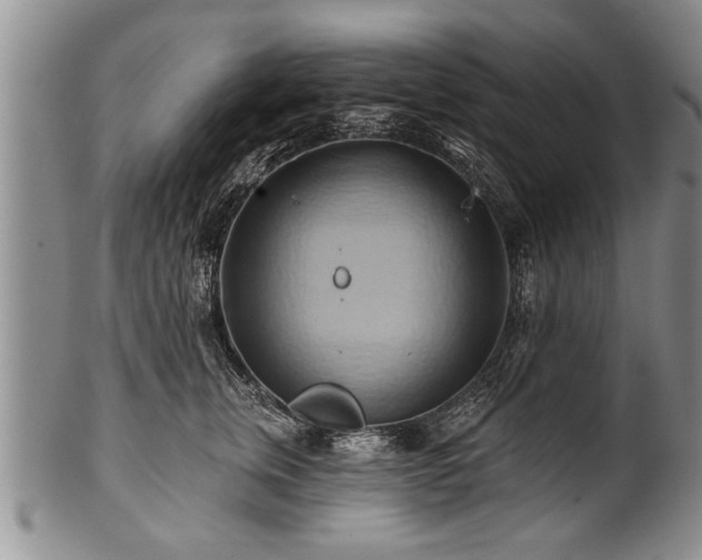 X0000100780759200806261629