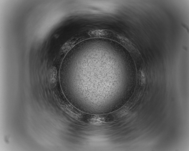 X0000100780760200806261629